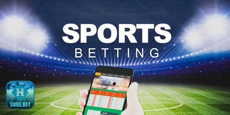 Cá cược đua ngựa Ascot - Quinella / Forecast – Linh hoạt vị trí Cá cược đua ngựa Ascot - Quinella / Forecast – Linh hoạt vị trí