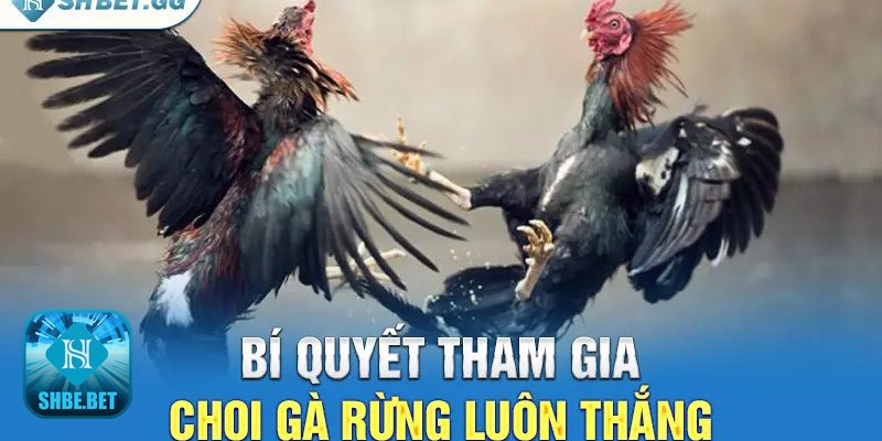 Chọi gà rừng online - Khái niệm cơ bản