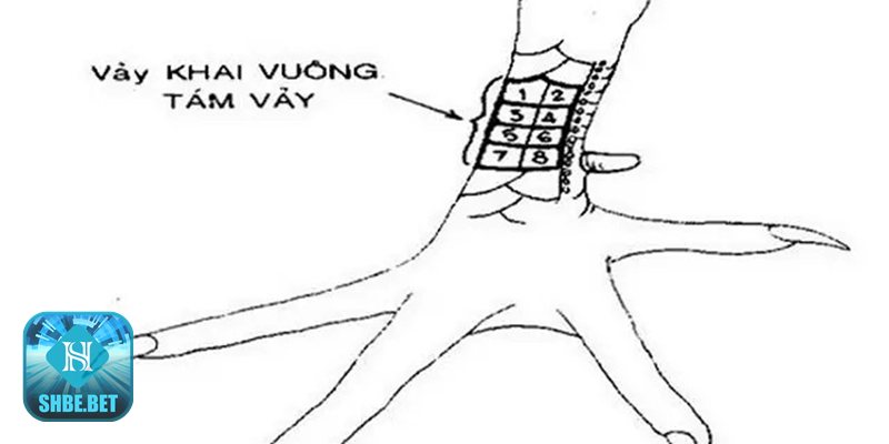 Xem vảy gà đá - Xem vảy gà đá: Khái niệm và lợi ích Xem vảy gà đá - Xem vảy gà đá: Khái niệm và lợi ích