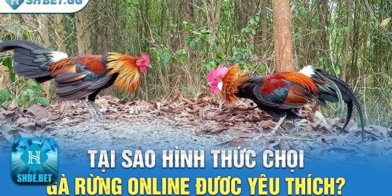 Chọi gà rừng online - Bảo mật và an toàn
