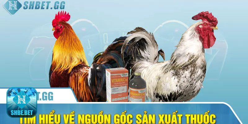 Cho gà uống thuốc gì trước khi đá - Hàng trôi nổi và phối hợp bừa bãi Cho gà uống thuốc gì trước khi đá - Hàng trôi nổi và phối hợp bừa bãi