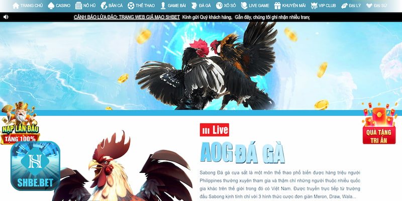 Cách xem đá gà online - Cách xem đá gà online tại shbet: bức tranh tổng quan Cách xem đá gà online - Cách xem đá gà online tại shbet: bức tranh tổng quan