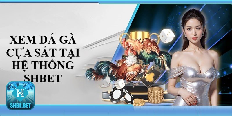 Cách xem đá gà online - Đăng ký tài khoản và bảo mật thông tin tại shbet Cách xem đá gà online - Đăng ký tài khoản và bảo mật thông tin tại shbet