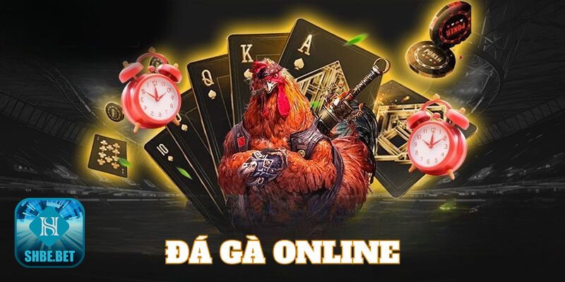 Đá gà casino - Giao diện trực quan, thao tác đặt kèo nhanh