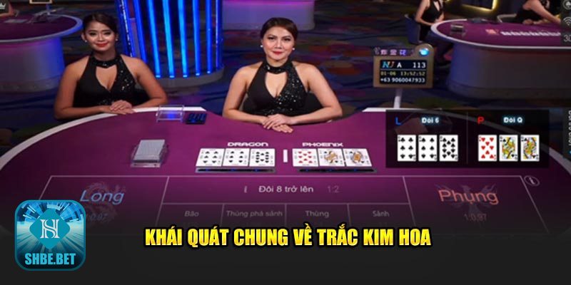 Trắc kim hoa - Bộ bài, xếp hạng và cách so sánh Trắc kim hoa - Bộ bài, xếp hạng và cách so sánh