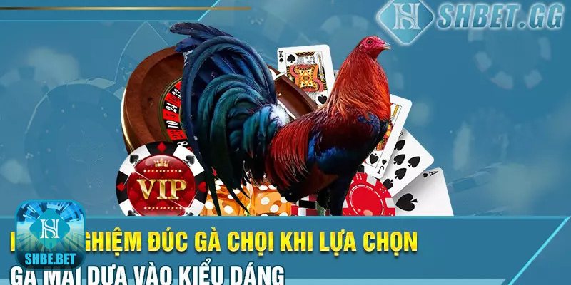 Kinh nghiệm đúc gà chọi - Ưu tiên dòng đã ổn định qua 3–4 đời