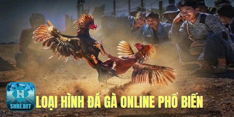 Đá gà online - Khái niệm và cách thức vận hành Đá gà online - Khái niệm và cách thức vận hành