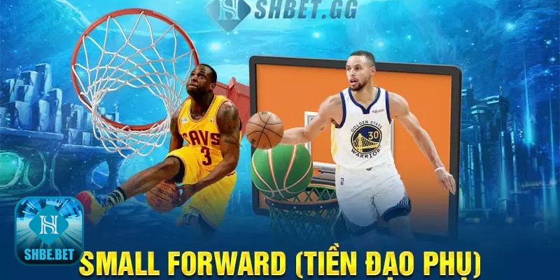 Đội bóng rổ có bao nhiêu người - Tiền đạo chính (Power Forward – PF)